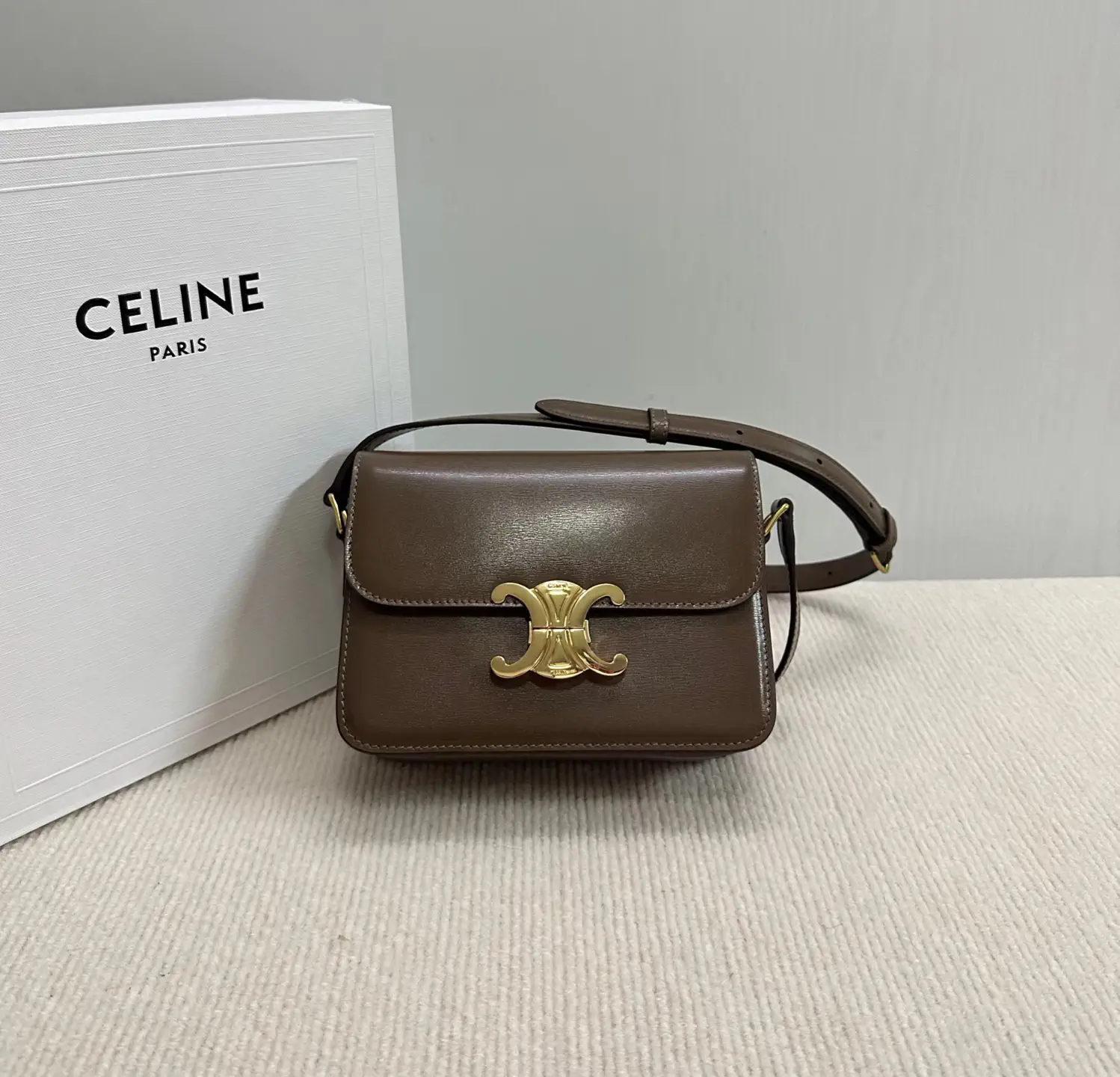 CELINE Triomphe Crossbody Bag image 1