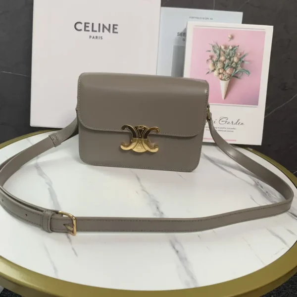 CELINE Triomphe Crossbody Bag image 1