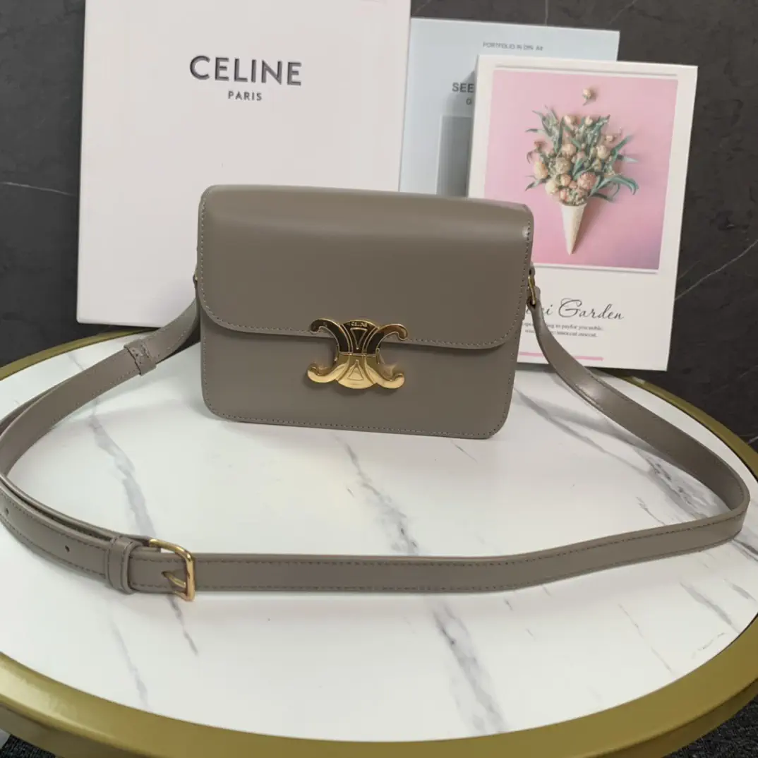 CELINE Triomphe Crossbody Bag image 1