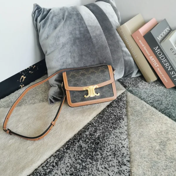 CELINE Triomphe Canvas Crossbody Bag image 1
