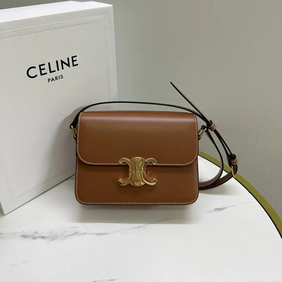 CELINE Triomphe Flap Crossbody Bag image 1