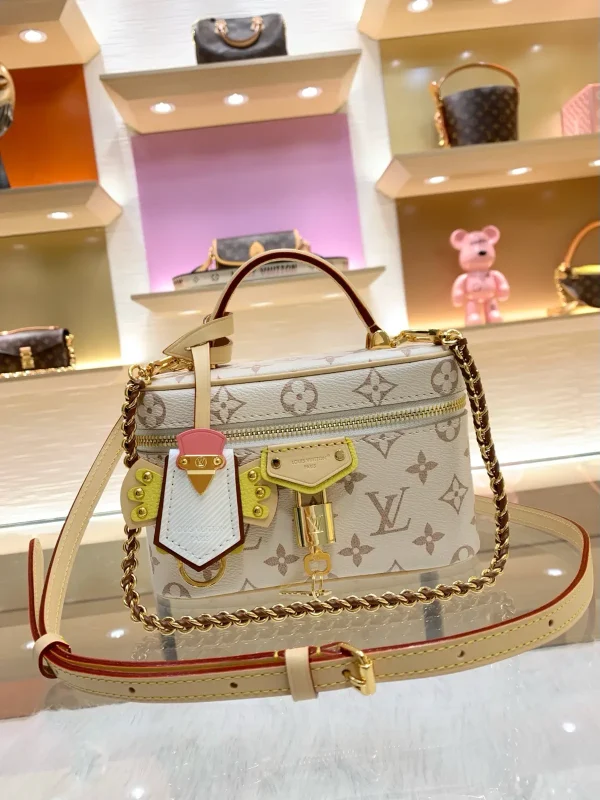 Louis Vuitton Vanity Chain Pouch Bag image 1