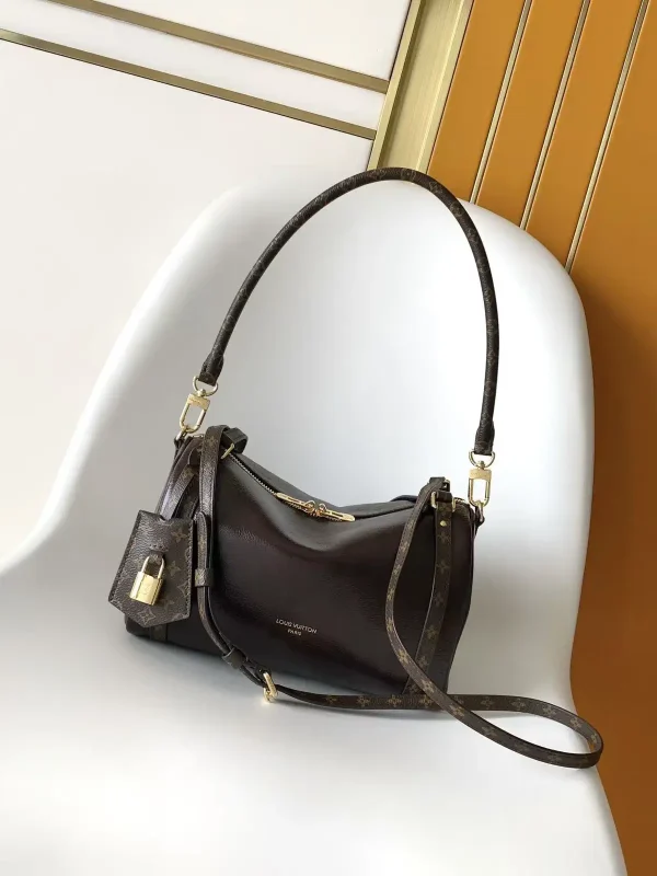 Louis Vuitton Dark Brown Leather Express Small Bag image 1
