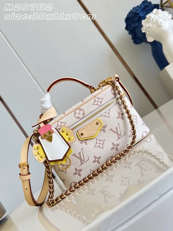 Louis Vuitton Vanity Chain Pouch Bag image 1