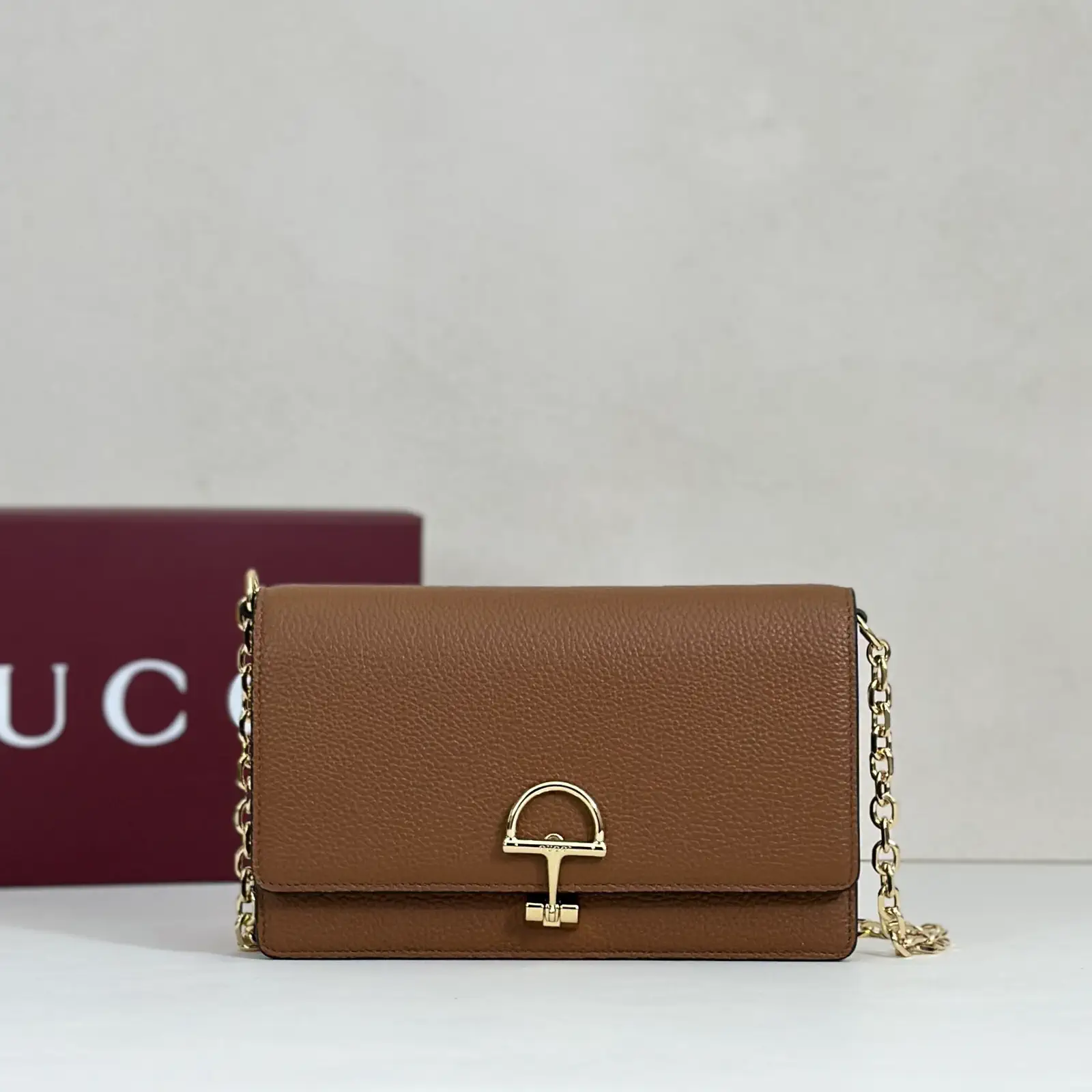 Gucci Brown Chain Crossbody Bag image 1
