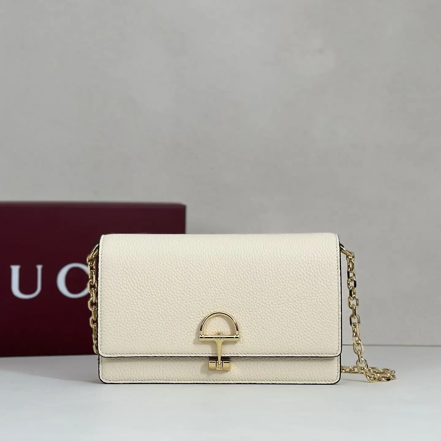 Gucci Chain Crossbody Bag image 1