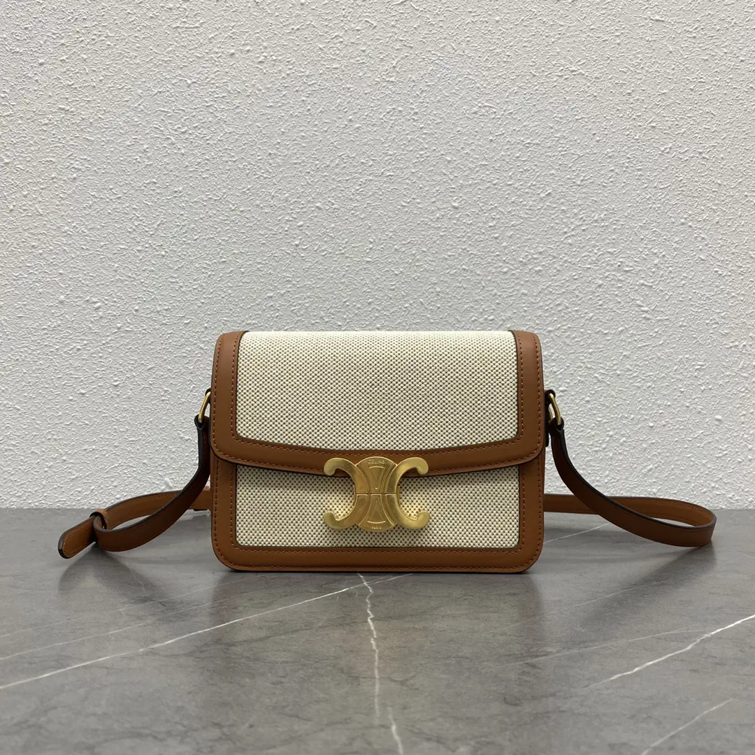 CELINE Triomphe Canvas and Leather Crossbody Bag image 1