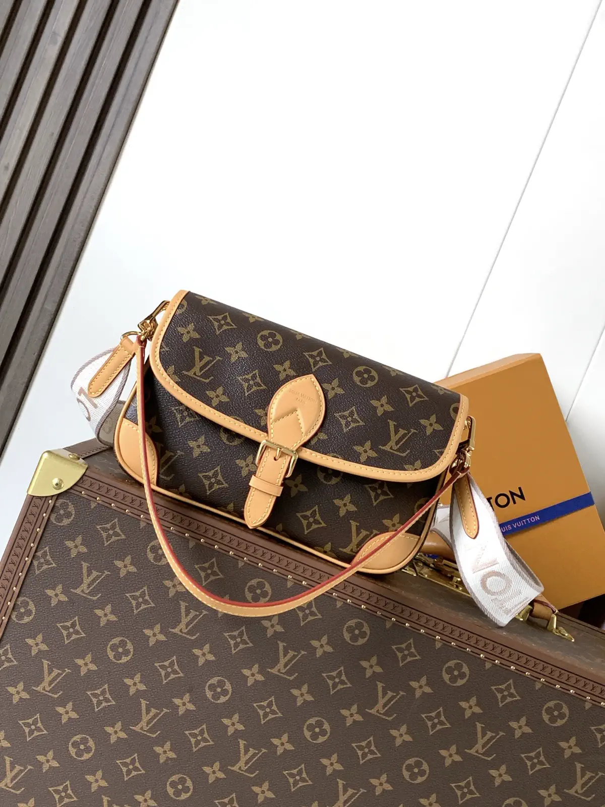 Louis Vuitton Diane Monogram Shoulder Bag image 1