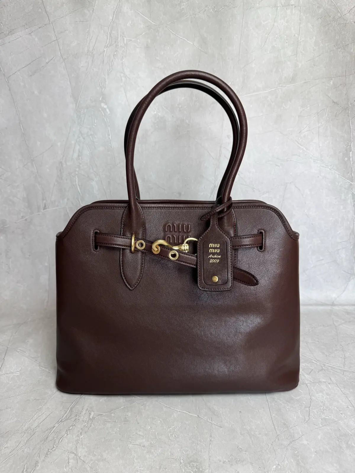 Miu Miu Brown Top Handle Bag image 1