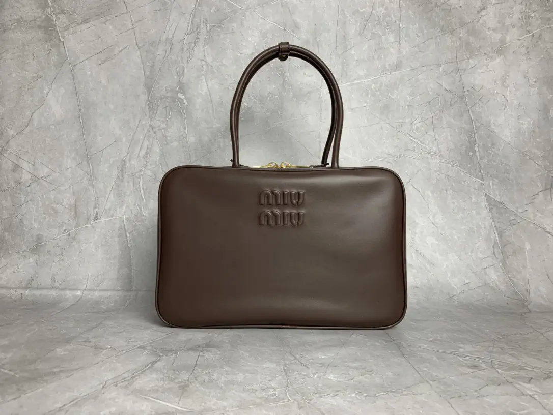 Miu Miu Brown Top Handle Bag image 1