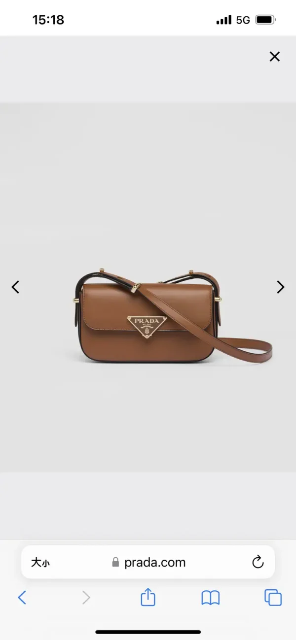 Prada Brown Crossbody Bag image 1