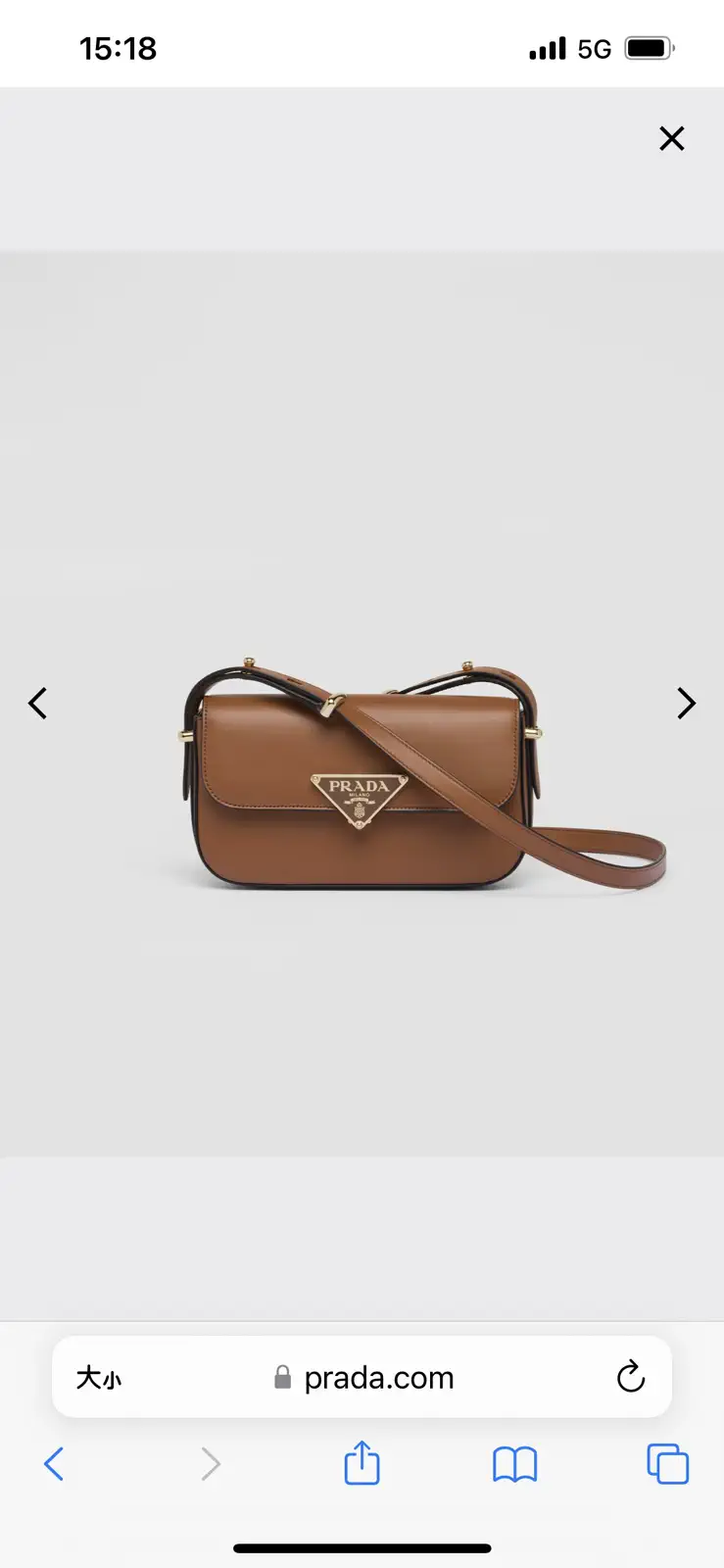 Prada Brown Crossbody Bag image 1