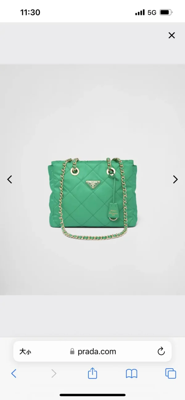 Prada Quilted Chain Shoulder Bag image 1