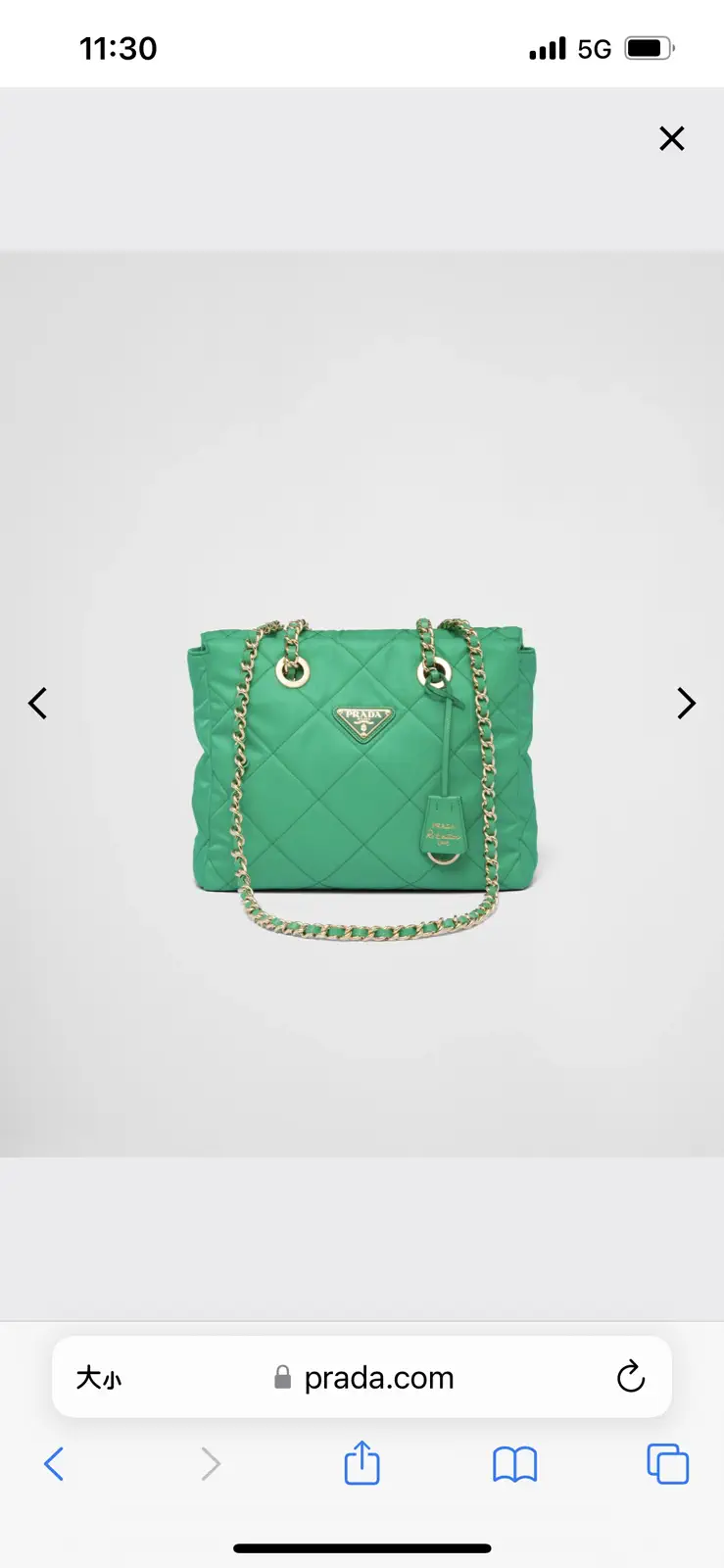 Prada Quilted Chain Shoulder Bag image 1