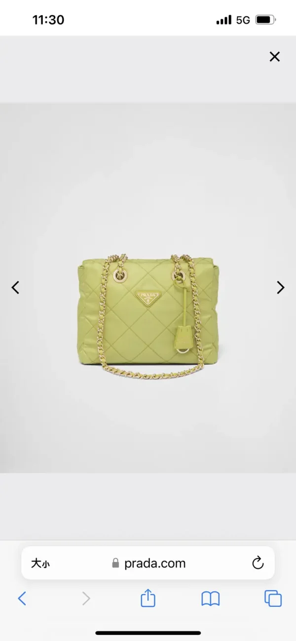 Prada Quilted Chain Shoulder Bag image 1