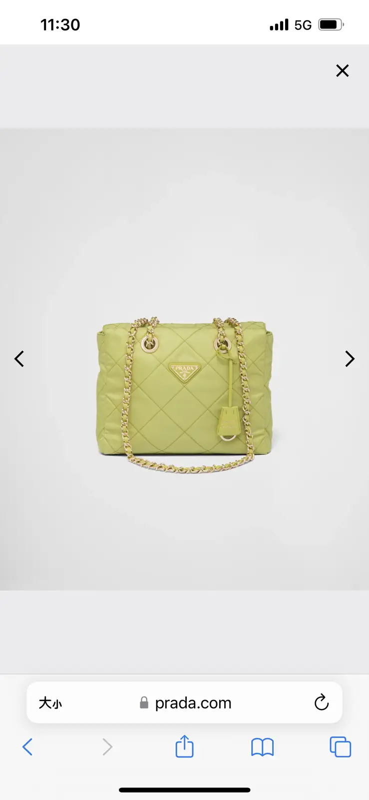Prada Quilted Chain Shoulder Bag image 1