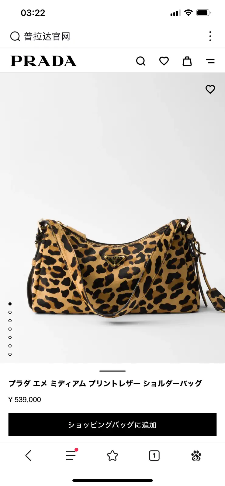 Prada Leopard Print Shoulder Bag image 1