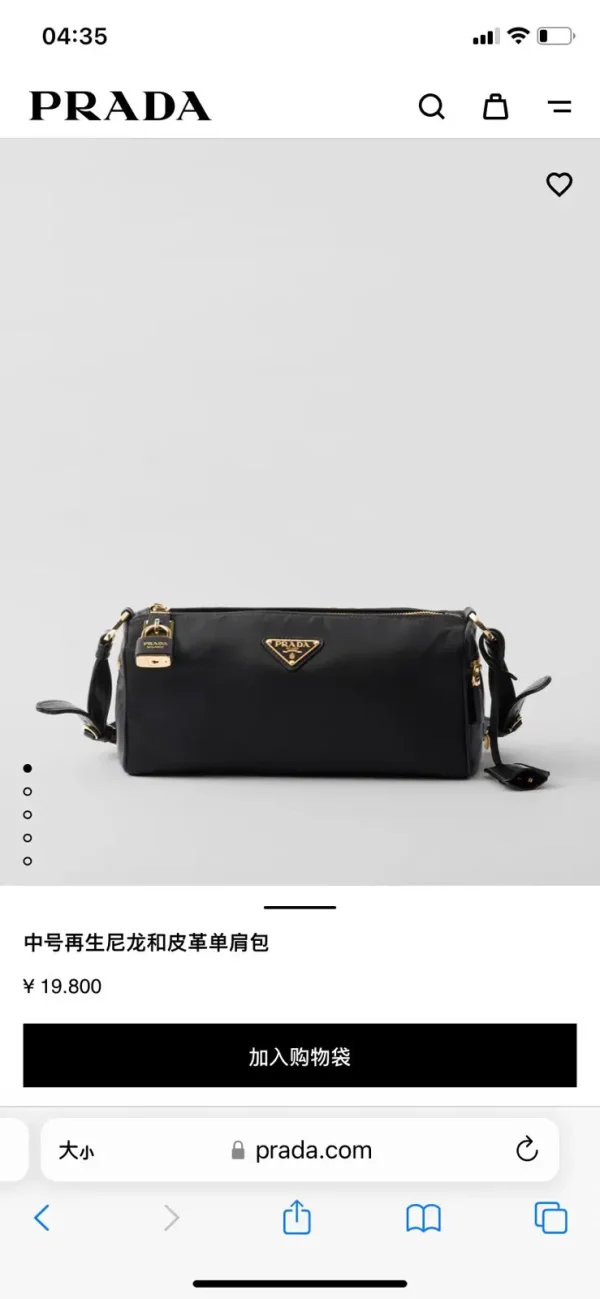 Prada Triangle Logo Shoulder Bag image 1