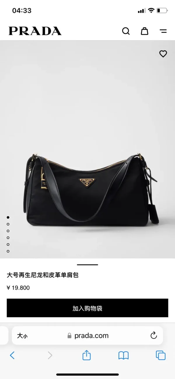 Prada Re-Nylon and Leather Shoulder Bag image 1