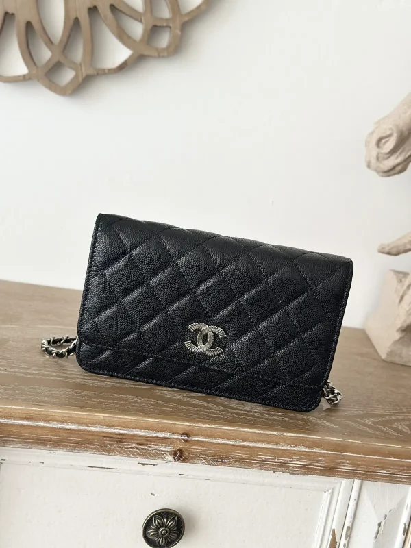 Chanel Quilted WOC Crossbody Bag image 1