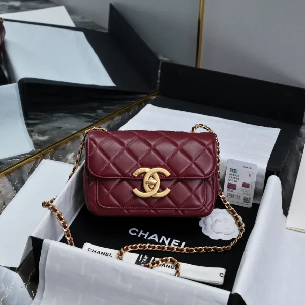 Chanel Quilted Mini Flap Crossbody Bag image 1